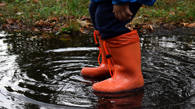 Vorschaubild für Wasserkreislauf