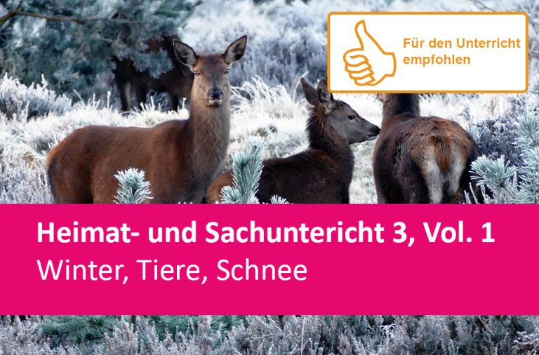 Vorschaubild für Winter, Tiere, Schnee