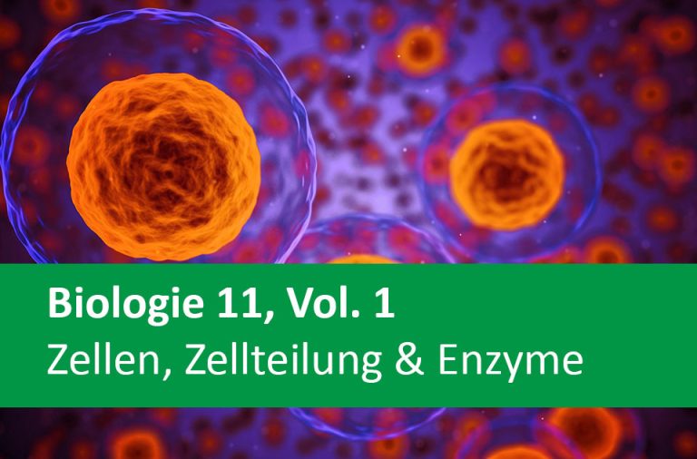 Vorschaubild für Zellen, Zellteilung & Enzyme