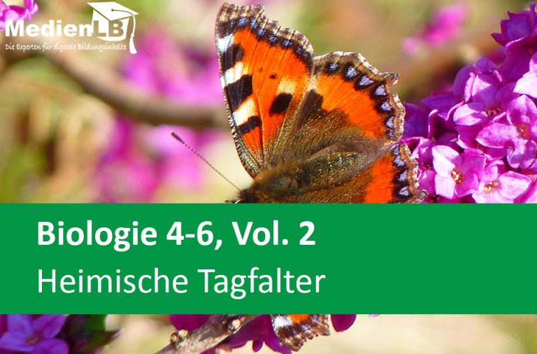 Vorschaubild für Heimische Tagfalter