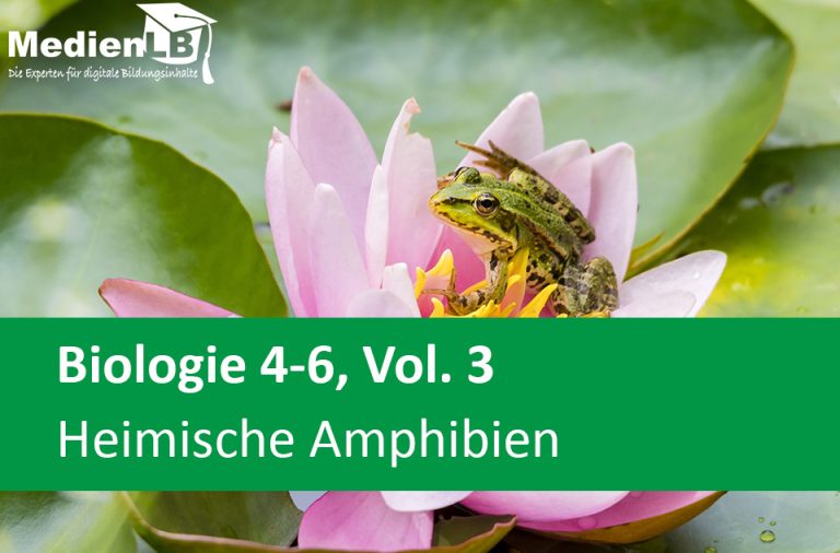 Vorschaubild für Heimische Amphibien