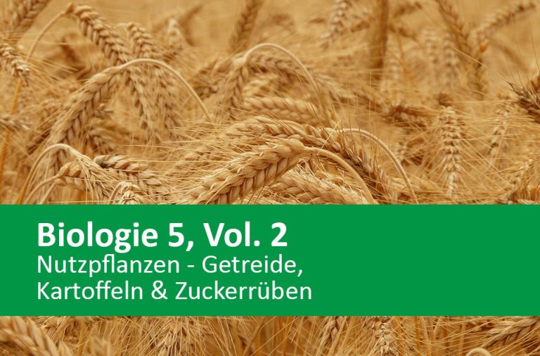 Vorschaubild für Nutzpflanzen – Getreide, Kartoffeln & Zuckerrüben