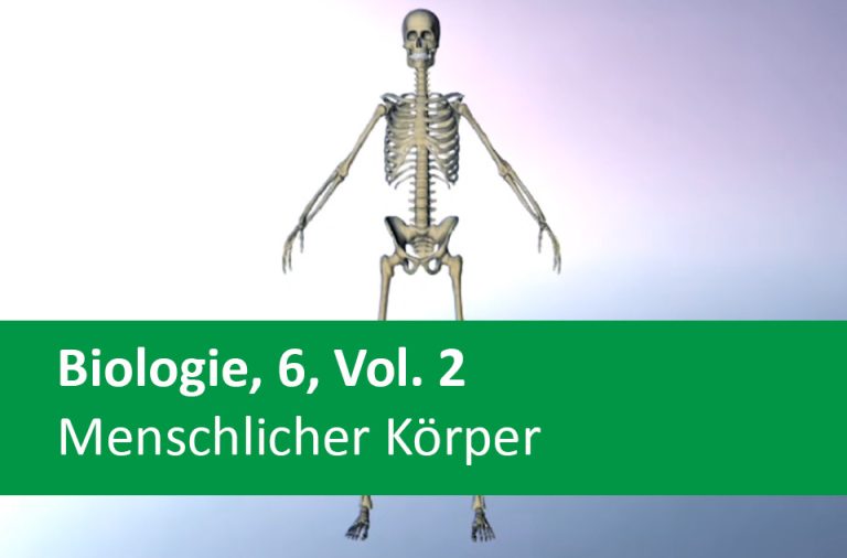 Vorschaubild für Menschlicher Körper