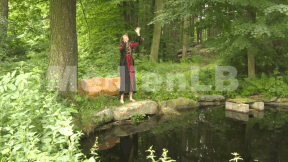 Animiertes Vorschaubild für Der Froschkönig