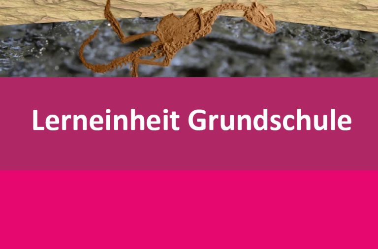 Vorschaubild für Fossilien