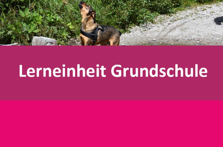 Vorschaubild für Der Haushund