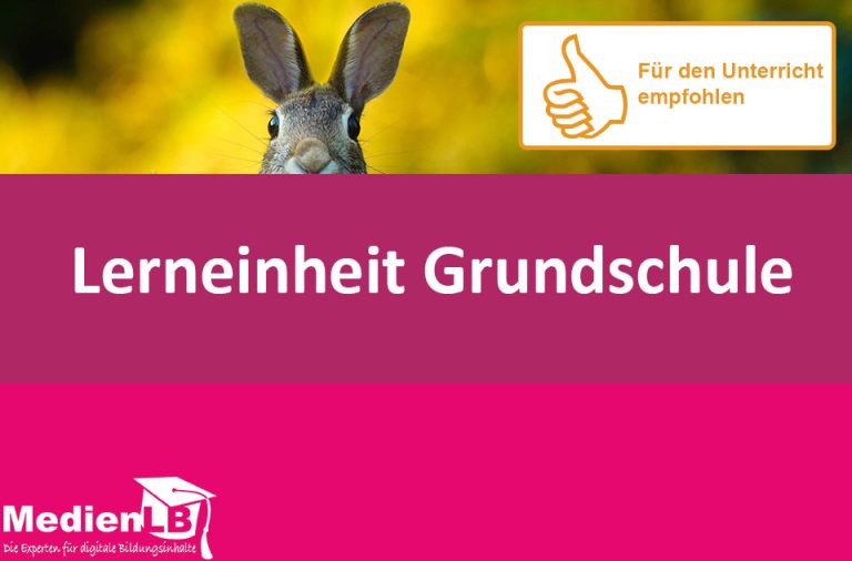 Vorschaubild für Hase und Kaninchen