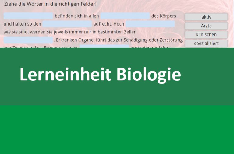 Vorschaubild für Enzyme: Definition und Funktion