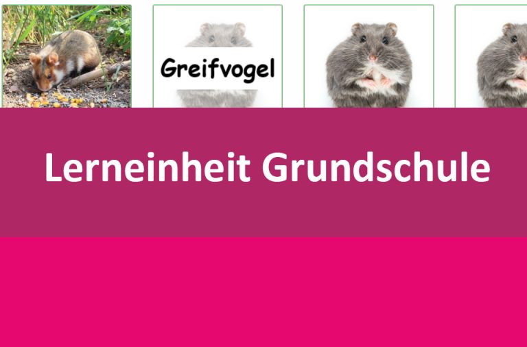 Vorschaubild für Der Hamster