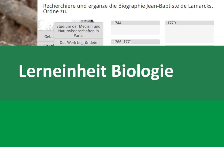 Vorschaubild für Wirbellose Tiere. Leben ohne Wirbelsäule