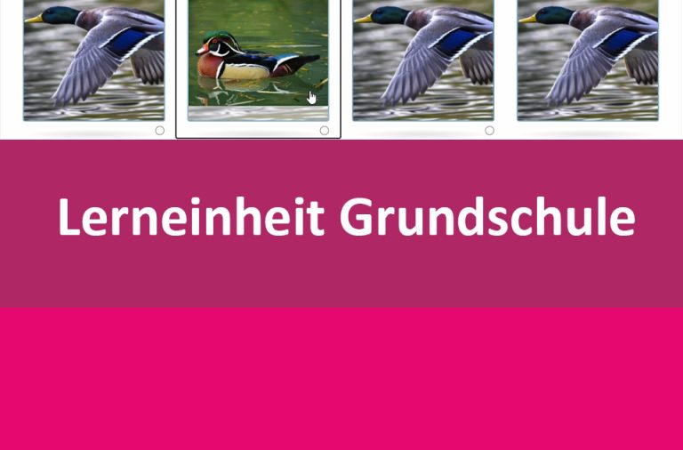 Vorschaubild für Die Ente