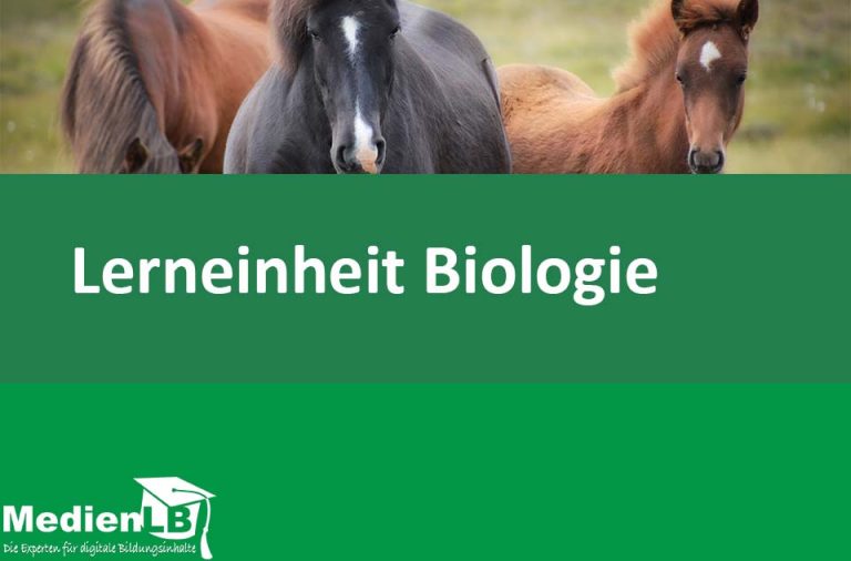 Vorschaubild für Das Pferd