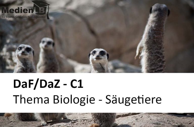 Vorschaubild für Thema Biologie - Säugetiere