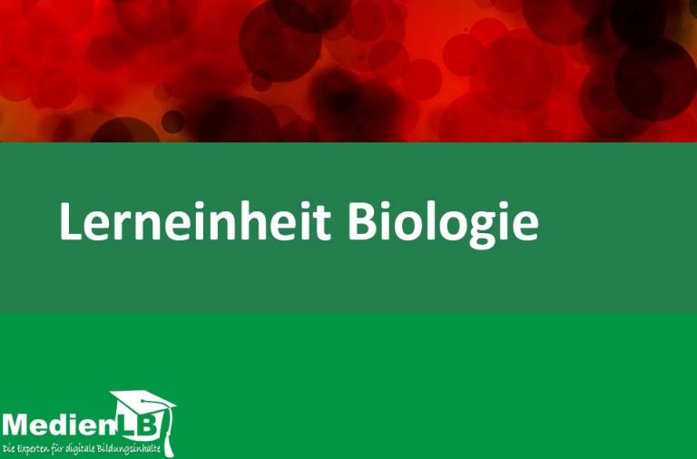 Vorschaubild für Rote Biotechnologie: Medizin