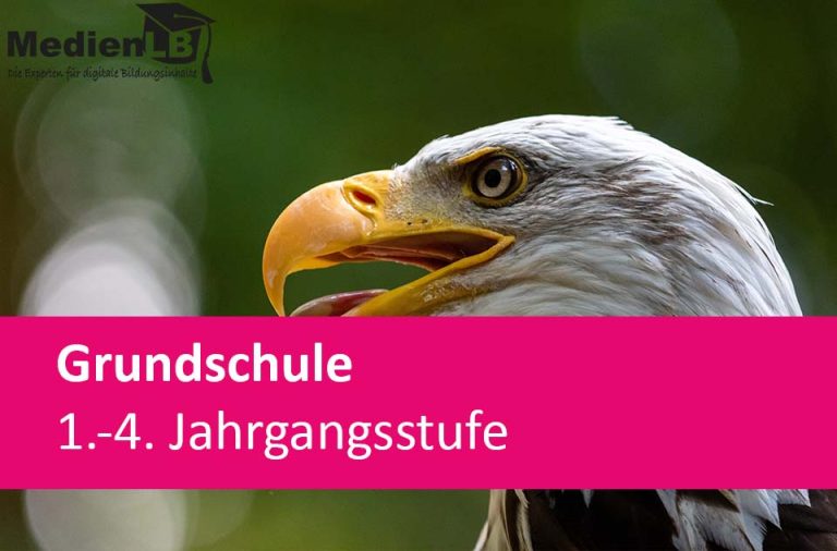 Vorschaubild für Greifvögel – faszinierende Flugkünstler