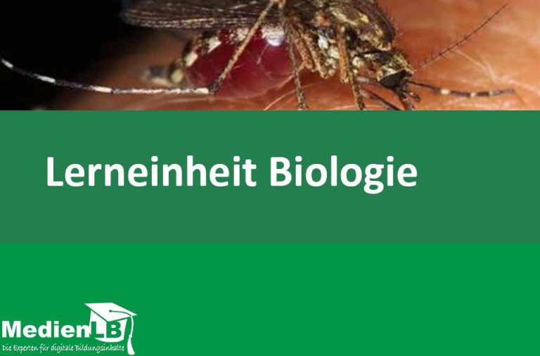 Vorschaubild für Parasiten