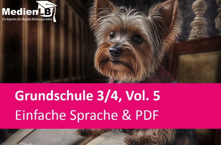 Vorschaubild für Einfache Sprache & PDF