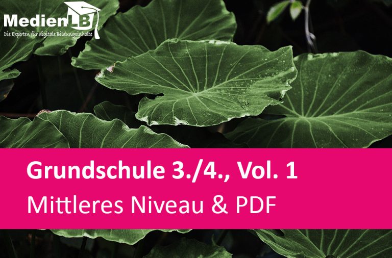 Vorschaubild für Mittleres Niveau & PDF