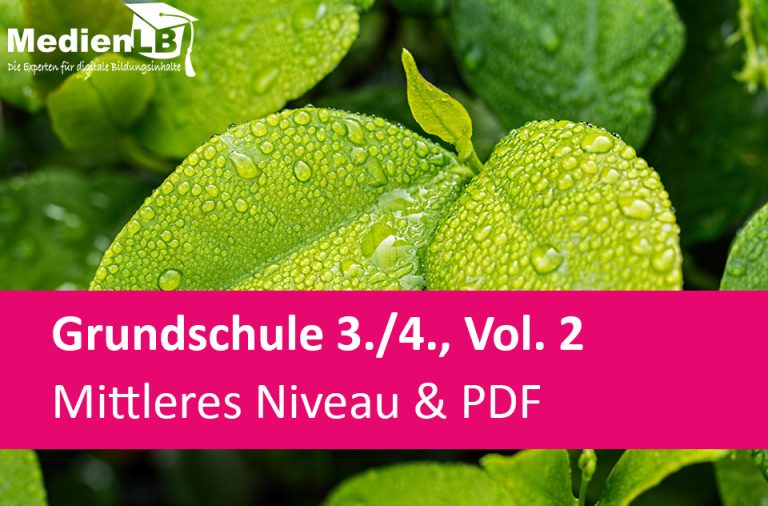 Vorschaubild für Mittleres Niveau & PDF