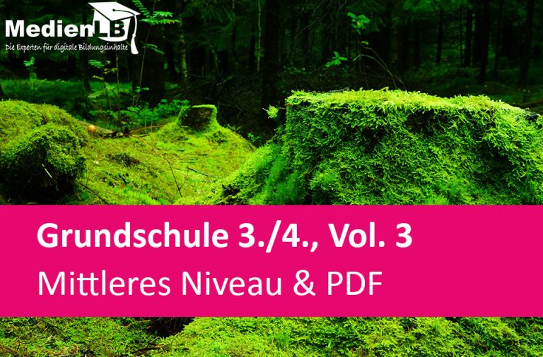 Vorschaubild für Mittleres Niveau & PDF