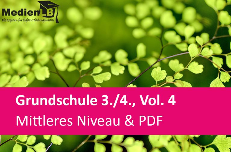 Vorschaubild für Mittleres Niveau & PDF