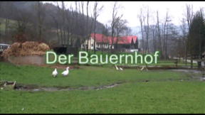 Animiertes Vorschaubild für The Farm