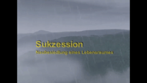 Animiertes Vorschaubild für Succession
