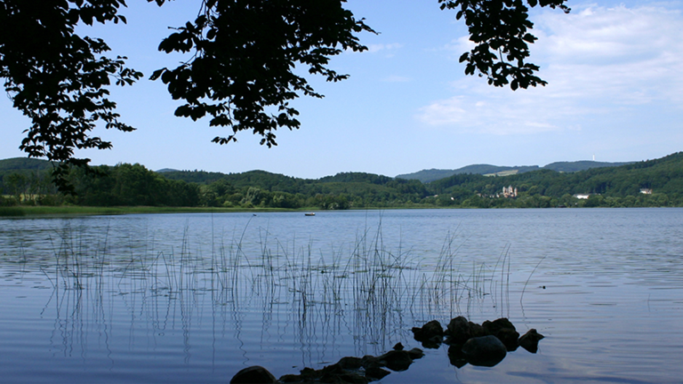 Vorschaubild für Rhineland-Palatinate