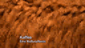 Animiertes Vorschaubild für Kaffee