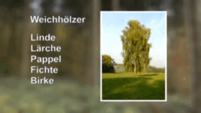Animiertes Vorschaubild für Wood/Paper/Recycling