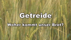 Animiertes Vorschaubild für Grain