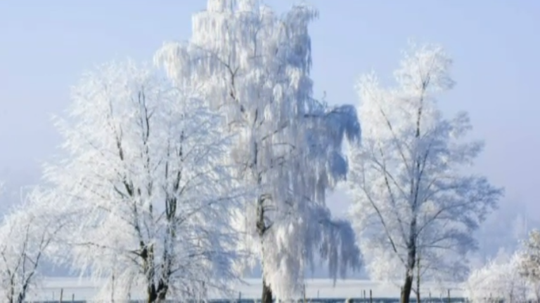 Vorschaubild für Winter