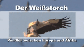 Animiertes Vorschaubild für The White Stork