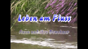 Animiertes Vorschaubild für Leben am Fluss