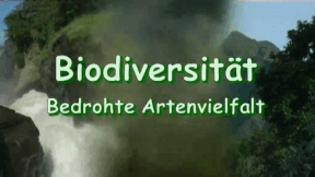 Animiertes Vorschaubild für Biodiversity