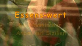 Animiertes Vorschaubild für Worth Eating