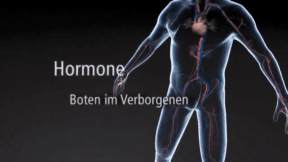Animiertes Vorschaubild für Hormone
