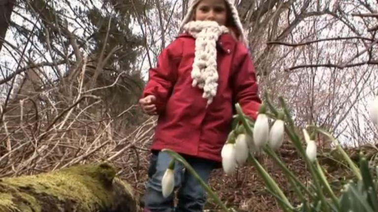 Vorschaubild für Frühling