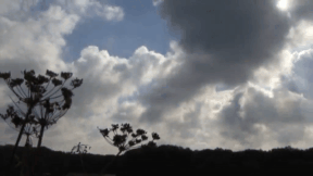 Animiertes Vorschaubild für Wetter