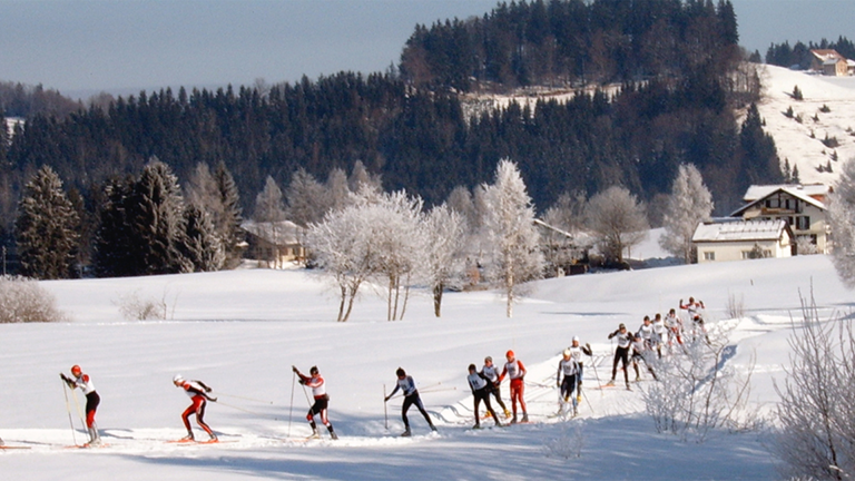 Vorschaubild für Skifahren