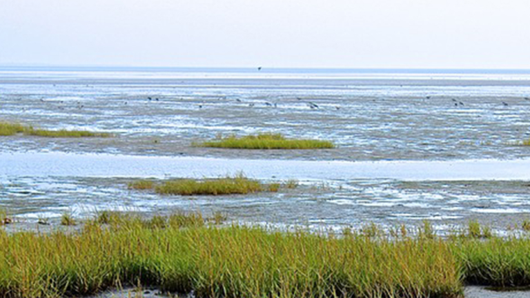 Vorschaubild für Das Wattenmeer