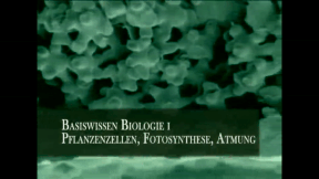 Animiertes Vorschaubild für Basics of BIOLOGY I