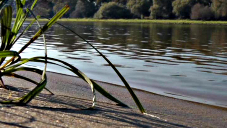 Vorschaubild für Die Elbe