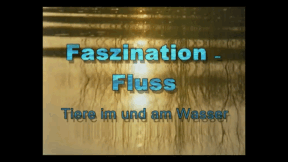 Animiertes Vorschaubild für Fascination River