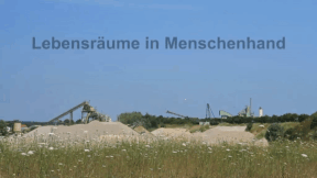 Animiertes Vorschaubild für Habitats in Human Hands