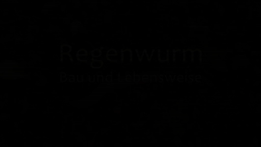 Animiertes Vorschaubild für Earthworm