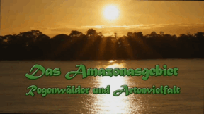 Animiertes Vorschaubild für Amazon Basin