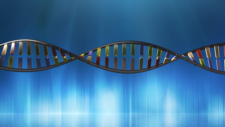 Vorschaubild für Biotechnologie II