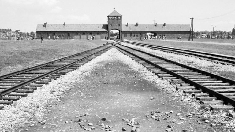 Vorschaubild für Zug nach Auschwitz