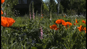 Animiertes Vorschaubild für Der Garten im Jahreslauf